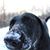 Traci Kasten's profile image