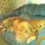 Lisa Fickett's profile image