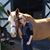 Cheryl Hankins's profile image