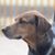 Carla Neubeck Herdrich's profile image