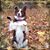 Heather James's profile image