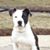 Brianne Hempe's profile image