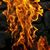 Brandon Jacobs's profile image