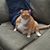 Martha Bentley's profile image