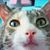 RaeLynne Abraham's profile image