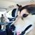 Sabra Baker's profile image