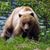 Kevin See's profile image