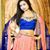 Shweta Kapadnis's profile image