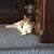 Angela Castleberry Doyle's profile image