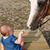 Dawn Whitty's profile image