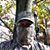 Andrew Doherty's profile image