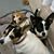 Sharon Mills Barbe's profile image