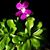 Bobbi Robinson's profile image