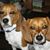 Tammy Tabaj's profile image