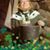 Angie Whitmore's profile image