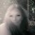 Terie Stubs's profile image