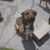 John Anderson's profile image