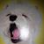 Mary Paula Thillens's profile image