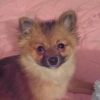 Melissa Warner's profile image
