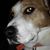 Teresa Mason's profile image