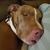 Stacy Link's profile image