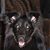 William Grace's profile image