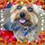 Darlene Simonelli Zitko's profile image