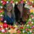 Pamela Rene' Huston's profile image