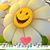 Rhonda Taylor's profile image