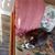 Carol Lee Callen's profile image