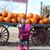 Tricia Teston Jester's profile image