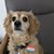 Mable Pearl's profile image