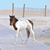 Brenda Rios's profile image