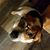 Otis B Williams Jr's profile image