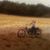 Don Billy Werdehausen's profile image