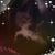 Beth Fenwick's profile image