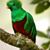 Lilian Alvarez's profile image