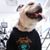 Bryan Anastasio's profile image