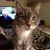 Kevvin Salsbury's profile image