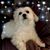 Robyn Thaw's profile image