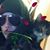 Caitlin Viola Anthony's profile image