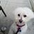 Mears Bobbie's profile image