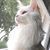 Christina J Rodeghier's profile image
