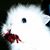 Kristina Cullen's profile image