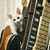 Bruce Finkelstein's profile image