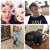 Dawn Rutecki DeStefano's profile image