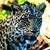 Ed Scheetz's profile image