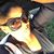 Kuleesha Williams-Jamison's profile image