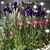 Maureen Bashaw's profile image