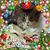 Dona Tarr Sarver's profile image
